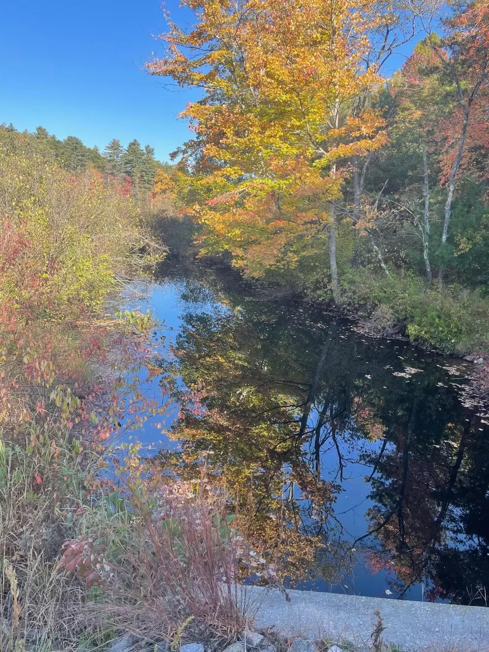 View/Area - 1310 West Rd, Waterboro, ME 04087 photo 3 of 3