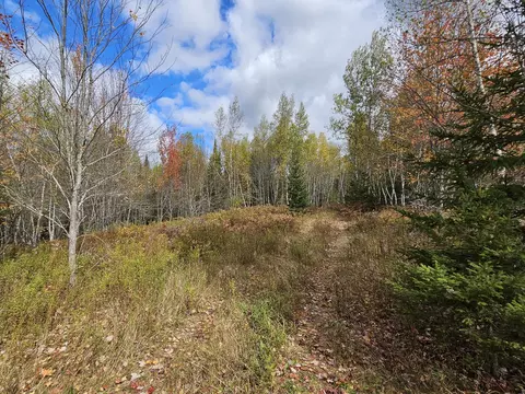 12 Fox Run, Mariaville, ME 04605
