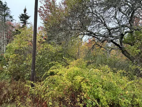 253 Hathorne Point Rd, Cushing, ME 04563 photo 12