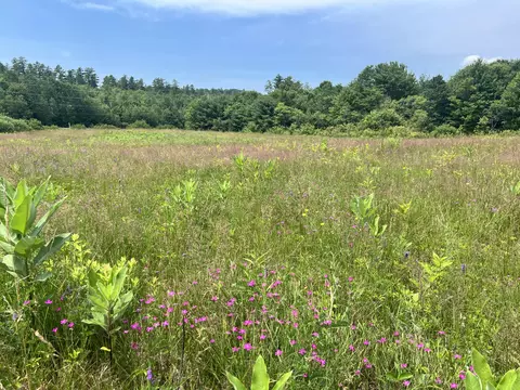 869-01 Walkers Mills Rd, Bethel, ME 04217