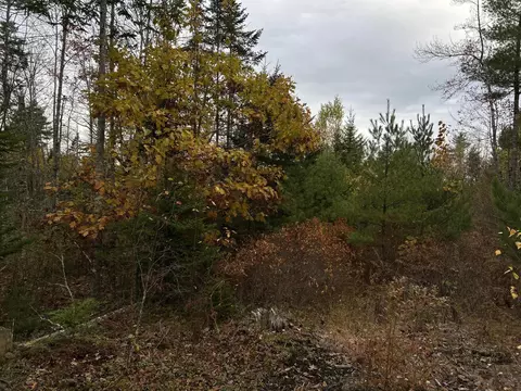 401 Genthner Rd, Waldoboro, ME 04572