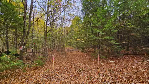009-007 Lilly Dr, Newport, ME 04953