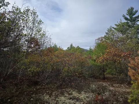 133 Plantation Ln, Brownfield, ME 04010