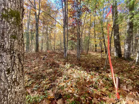 00 Cottage Ln, Brownfield, ME 04010