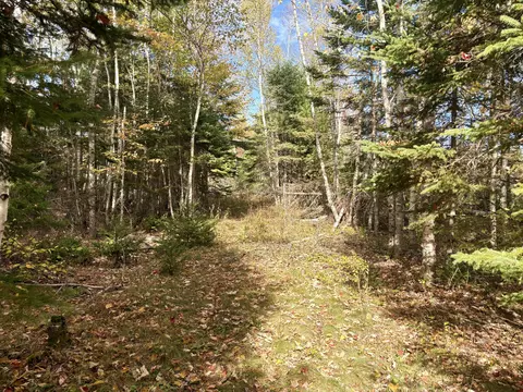 lot22 Off South Meadow Roys Way Rd, Perry, ME 04667