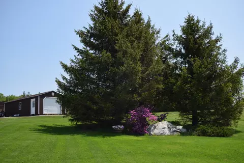 Exterior - 341 Us Route 1, Weston, ME 04424 photo 11 of 12