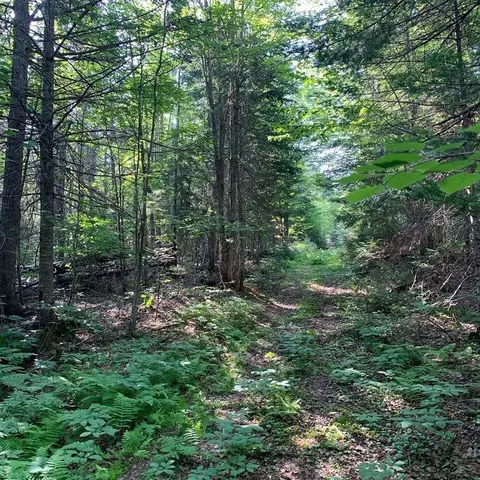Other - 341 Us Route 1, Weston, ME 04424 photo 25 of 33