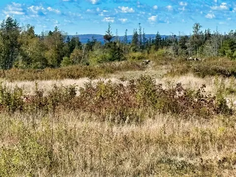 274 W District Rd, North Haven, ME 04853