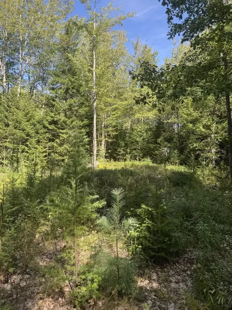 1730 Main St, Harrington, ME 04643