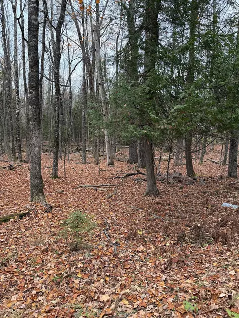 lot18 Shore Rd, Dexter, ME 04930