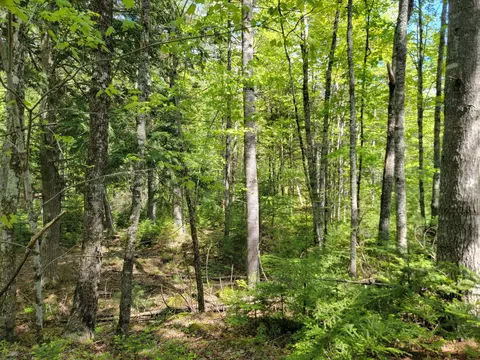 00 W Appleton Rd, Appleton, ME 04862 photo 10