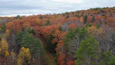 lot57 B Dodge Rd, Dresden, ME 04342