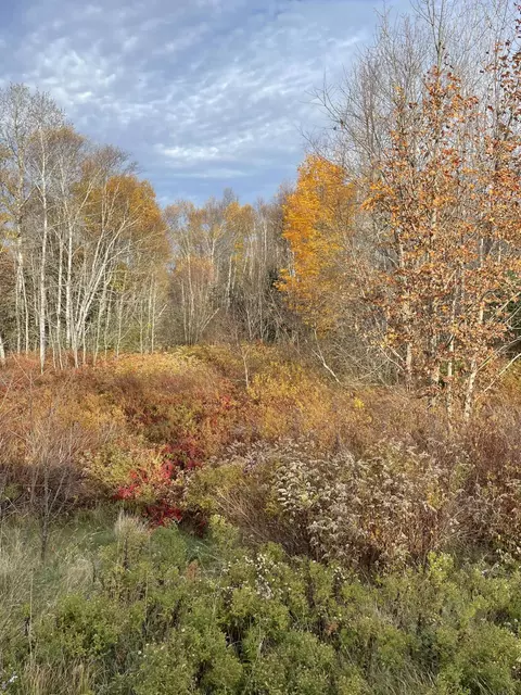 M16l10 Huckins Cove Road, Calais, ME 04619