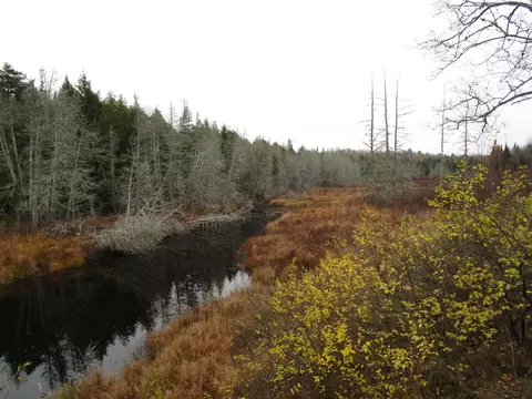 lot25 Medford Ctr, Medford, ME 04463