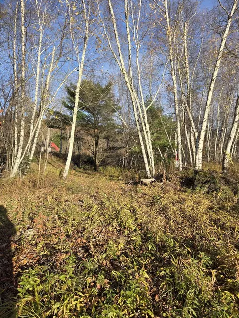 000 Intervale Rd, Jay, ME 04239 photo 4