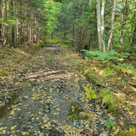 862 Hemore Rd, Hammond, ME 04730