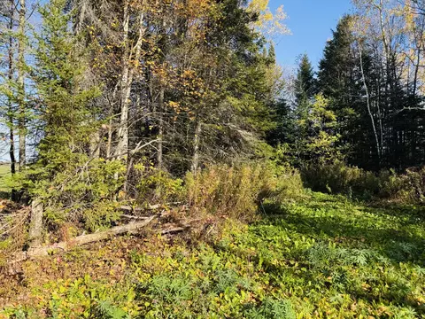 1 Pease Road, Mapleton, ME 04757 photo 6