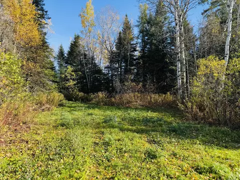 1 Pease Road, Mapleton, ME 04757 photo 8