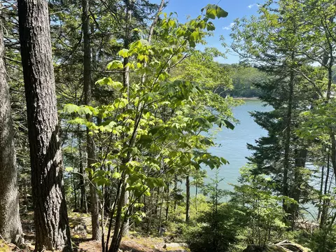 13 Porcupine Ln, Westport Island, ME 04578