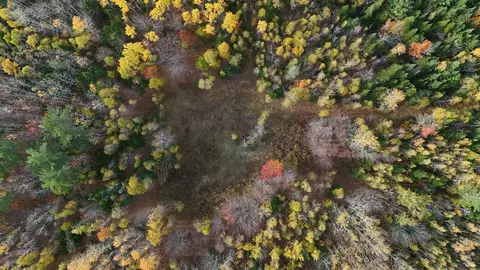00 Babcock Rd, Newburgh, ME 04444