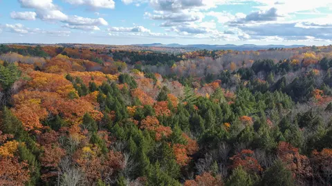 lot2 Darci Ln, Montville, ME 04941