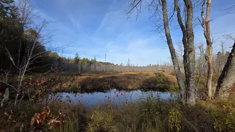View/Area - 12 Maple Grove Rd, Lee, ME 04455 photo 10 of 17