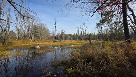 View/Area - 12 Maple Grove Rd, Lee, ME 04455 photo 5 of 17