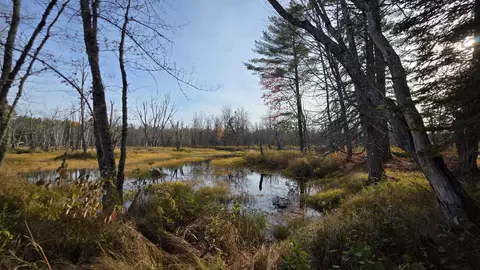 View/Area - 12 Maple Grove Rd, Lee, ME 04455 photo 8 of 17