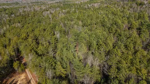 116 New Harrison Rd, Oxford, ME 04270