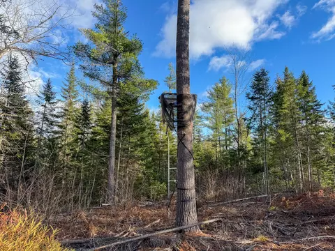 M3l42 Caribou Road, Passadumkeag, ME 04475