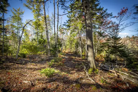 lot5 Jacks Ln, Bristol, ME 04554
