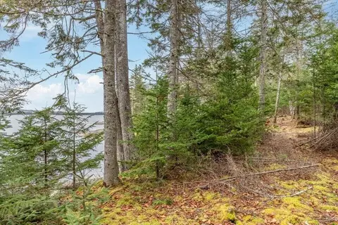 Exterior - 11 Quiet Shore Rd, Steuben, ME 04680 photo 9 of 16