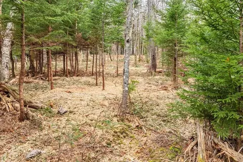 Exterior - 11 Quiet Shore Rd, Steuben, ME 04680 photo 8 of 16
