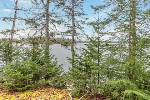 View/Area - 11 Quiet Shore Rd, Steuben, ME 04680 photo 4 of 8