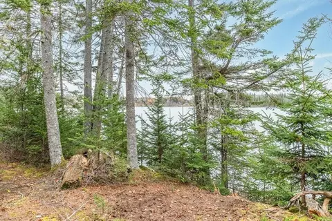 View/Area - 11 Quiet Shore Rd, Steuben, ME 04680 photo 5 of 8