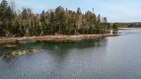 View/Area - 11 Quiet Shore Rd, Steuben, ME 04680 photo 6 of 8