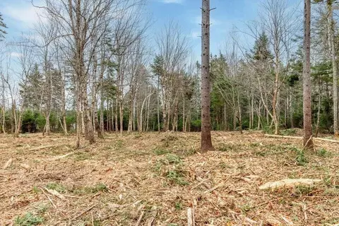 Exterior - 11 Quiet Shore Rd, Steuben, ME 04680 photo 13 of 16