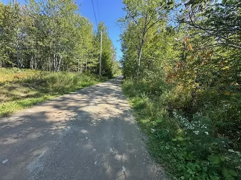 M1l431e-5 Sally Mack Road, Frankfort, ME 04438