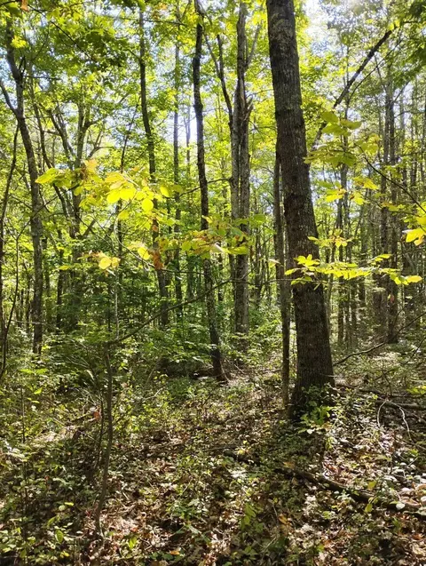 2 Bicknell Rd, Belmont, ME 04952