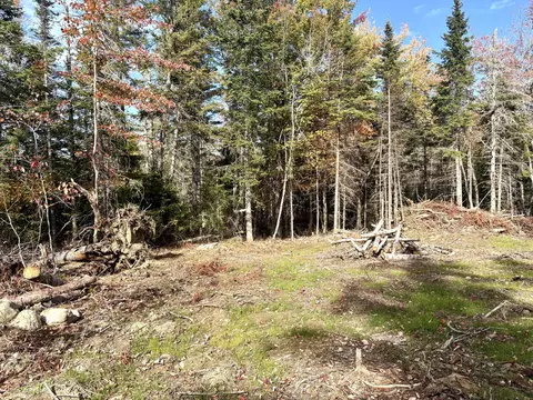 Nn S Meadow Road, Perry, ME 04667