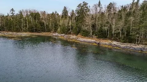 lot11 Quiet Shore Rd, Steuben, ME 04680