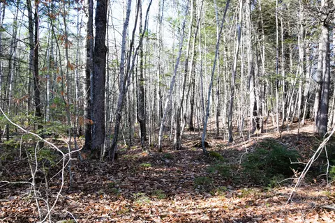 5 Pine Bluff Road, Embden, ME 04958 photo 2