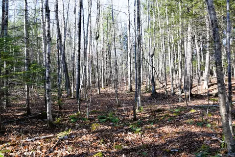 5 Pine Bluff Road, Embden, ME 04958