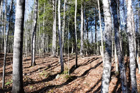5 Pine Bluff Road, Embden, ME 04958 photo 4