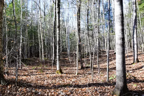 5 Pine Bluff Road, Embden, ME 04958 photo 3
