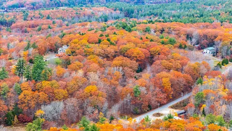 lot Apt 4 Bay View Trl, Edgecomb, ME 04556 photo 11