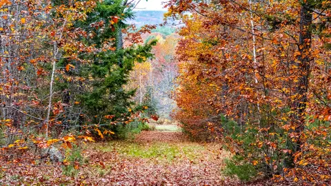 lot Apt 4 Bay View Trl, Edgecomb, ME 04556 photo 23