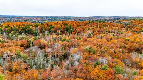 lot Apt 4 Bay View Trl, Edgecomb, ME 04556 photo 37