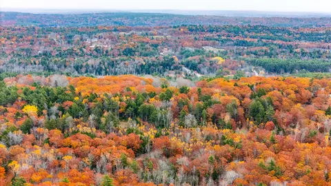 lot Apt 4 Bay View Trl, Edgecomb, ME 04556 photo 43