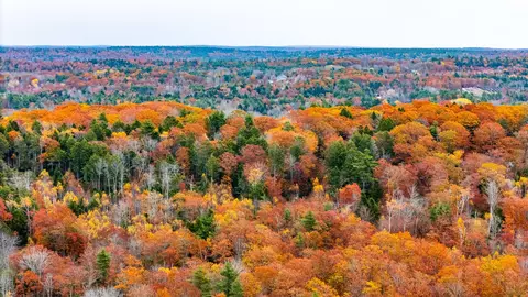lot Apt 4 Bay View Trl, Edgecomb, ME 04556 photo 38